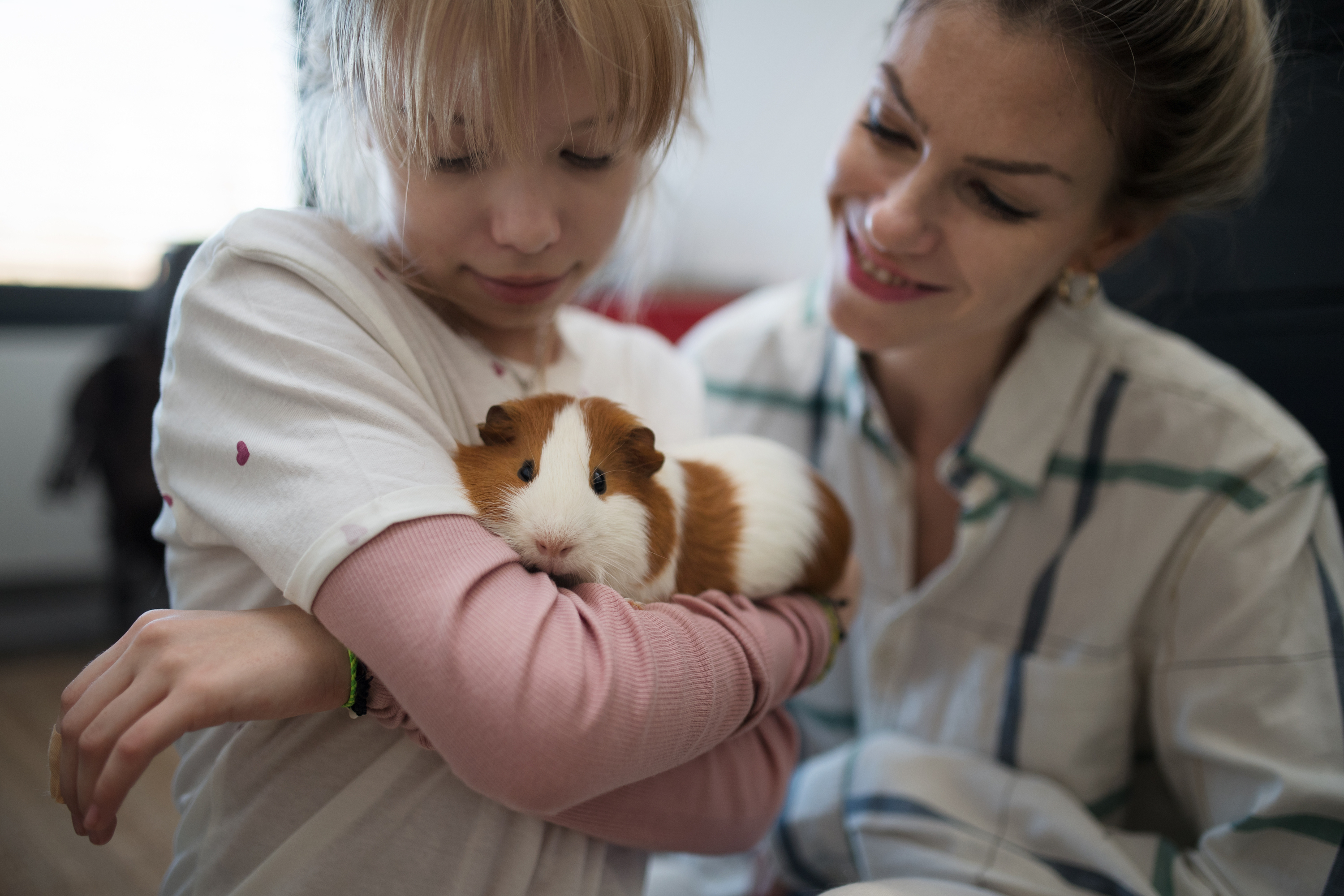 Mom and daughter play with their guinea pig