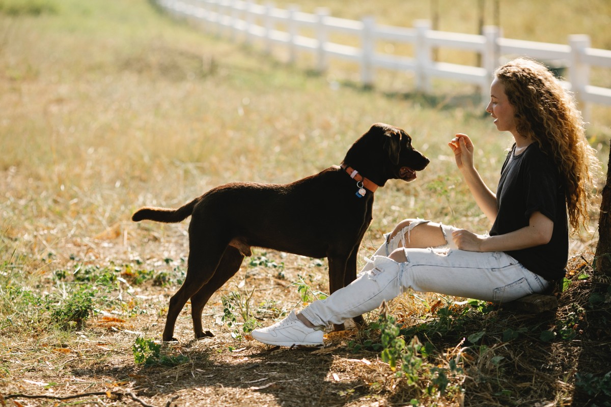 a woman and dog having a training session in the park