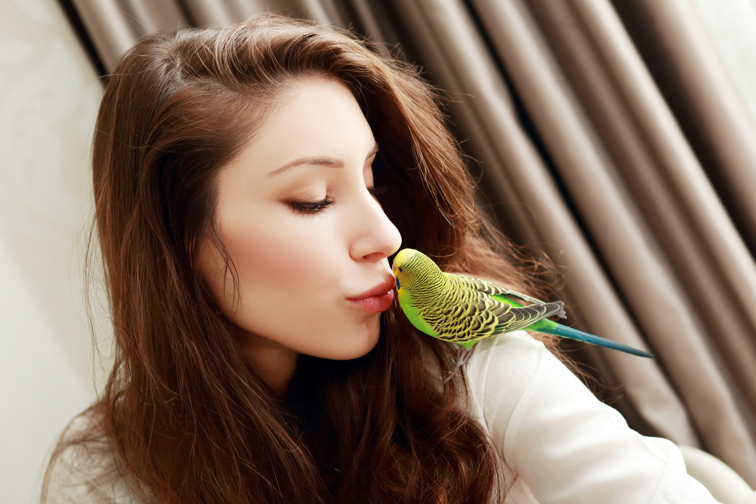 Woman kisses her parakeet sitting on her shoulder