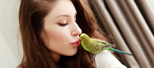 Woman kisses her parakeet sitting on her shoulder