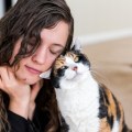 Calico cat rubbing against a woman's cheek