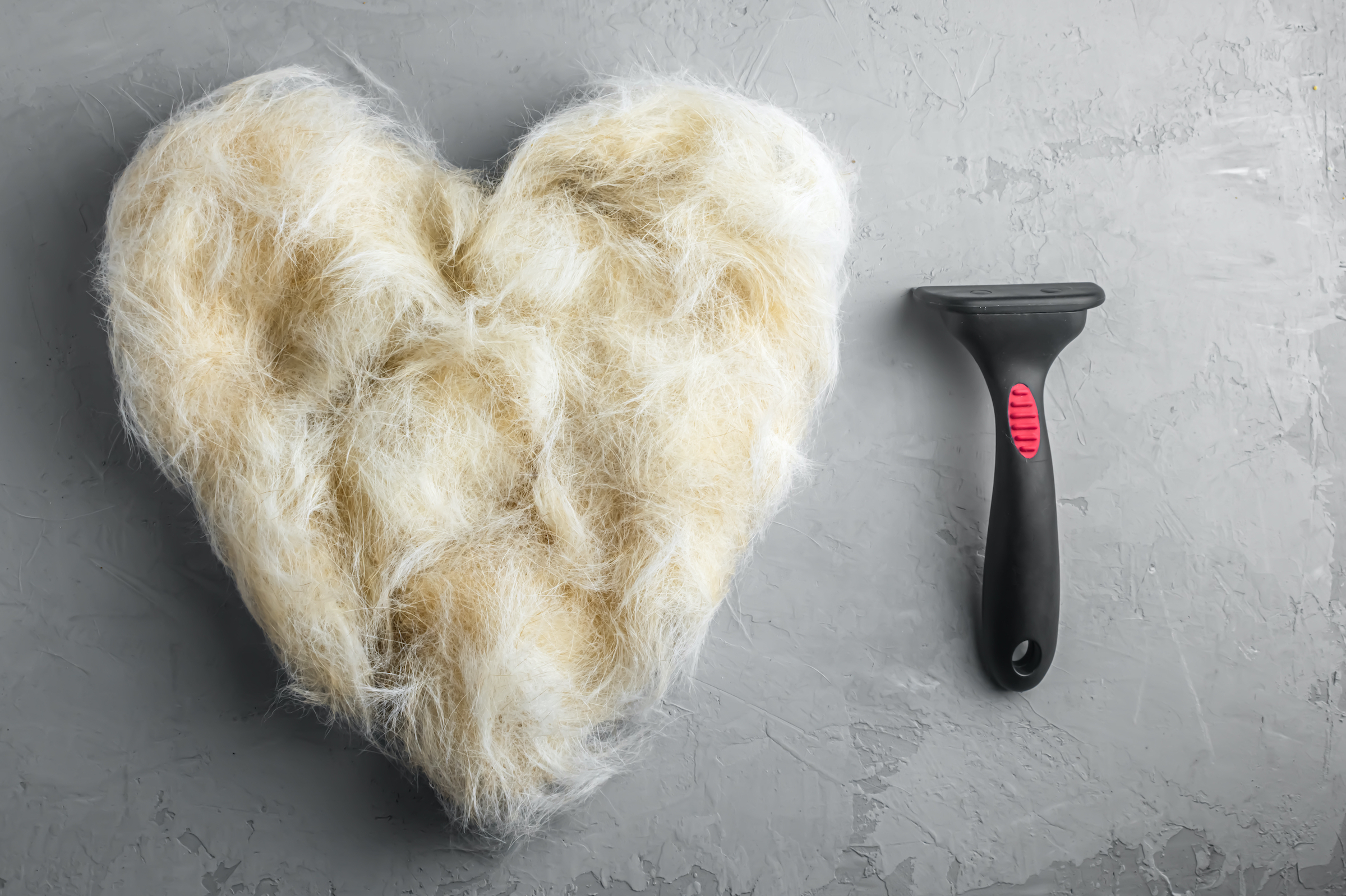 A pile of dog hair shaped into a heart next to a grooming tool