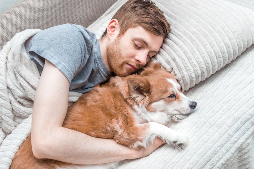 Vyras miega su savo šunimi.