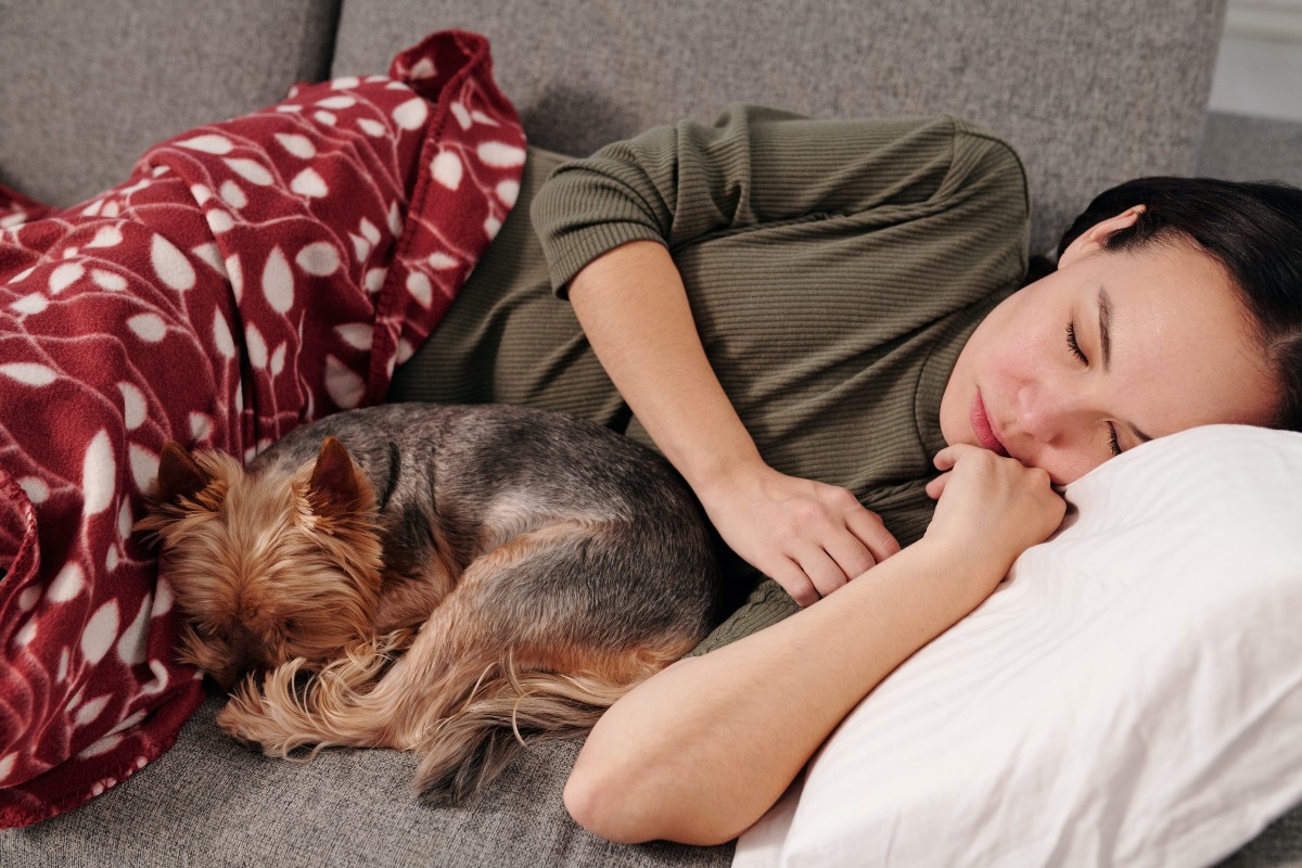 a woman napping on the couch with her Yorkie