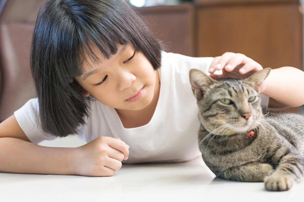 Young girl petting cat.