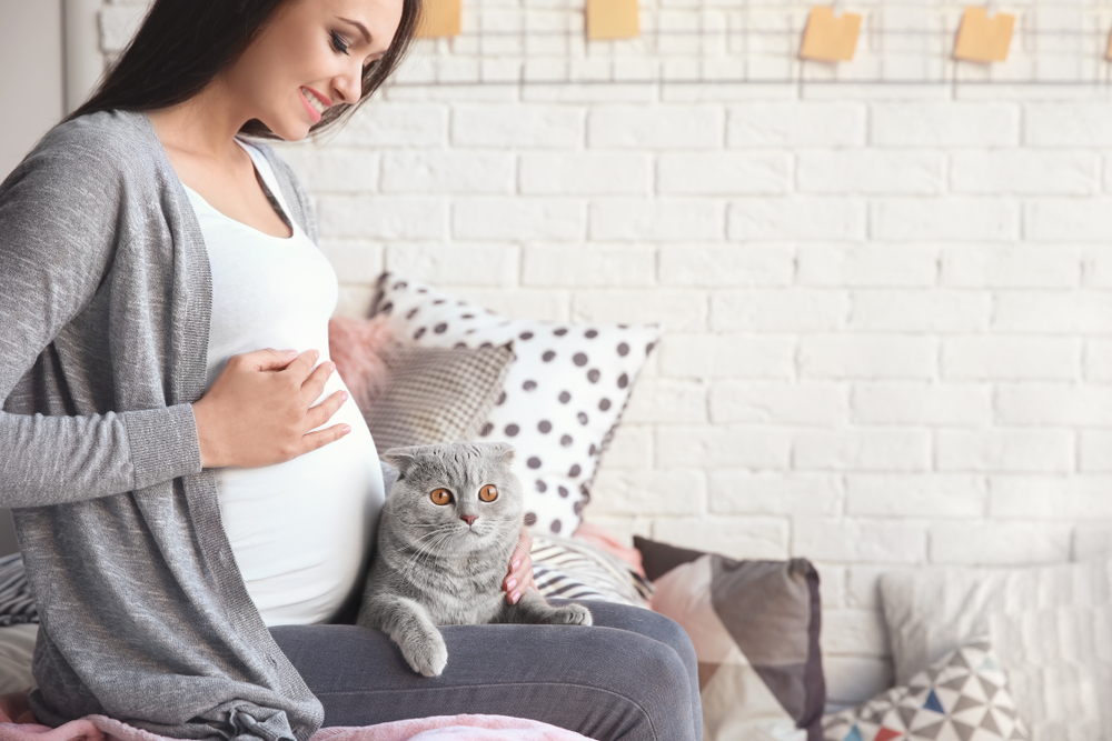 Tamsiaplaukė nėščia moteris ant sofos glosto žilą katę