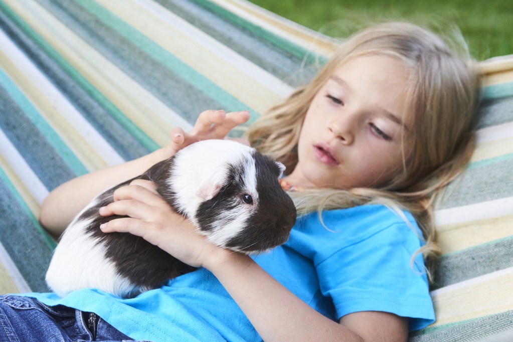 Girl lies in hammock with guinea pig on her lap