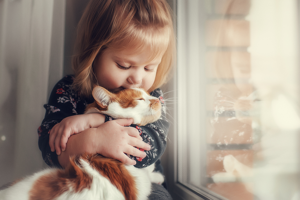 A young girl hugs and kisses a long-haired orange and white cat.
