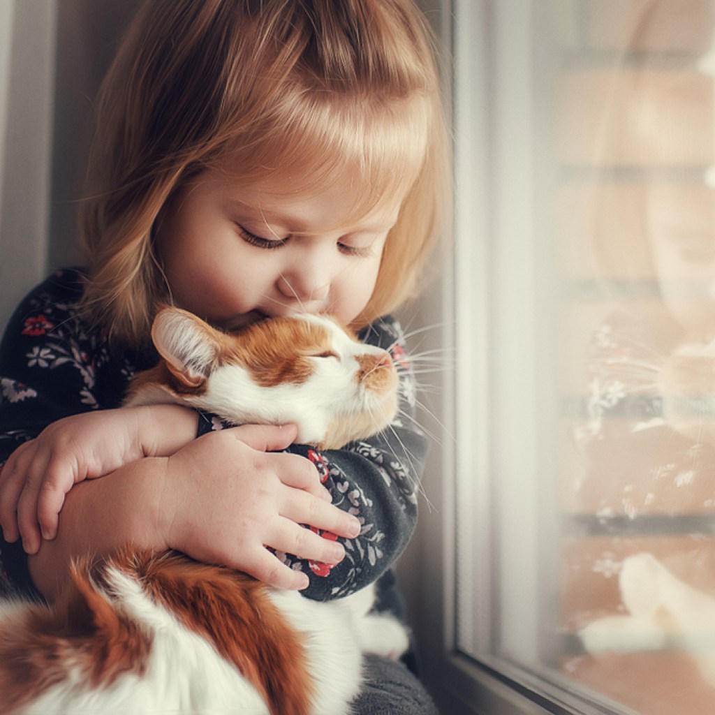 A young girl hugs and kisses a long-haired orange and white cat.