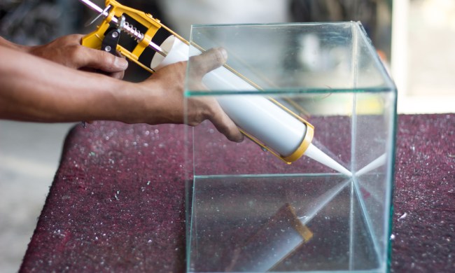 Putting silicone strip on seam of aquarium.