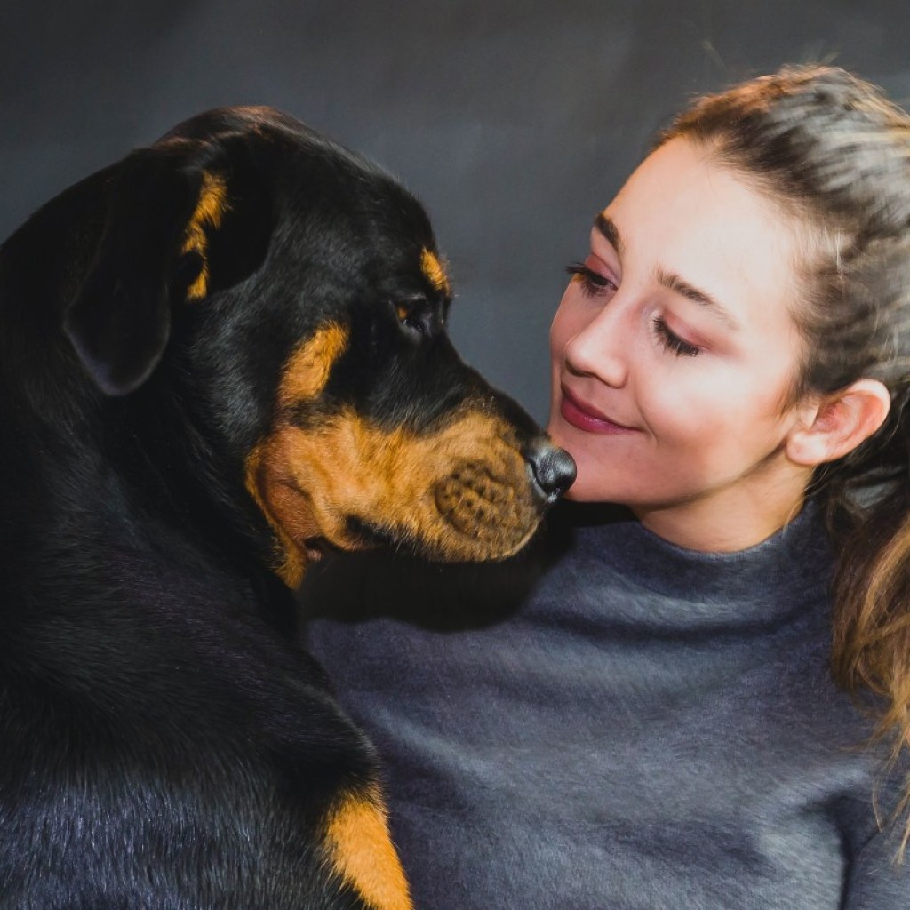A woman looks at a rottweiler