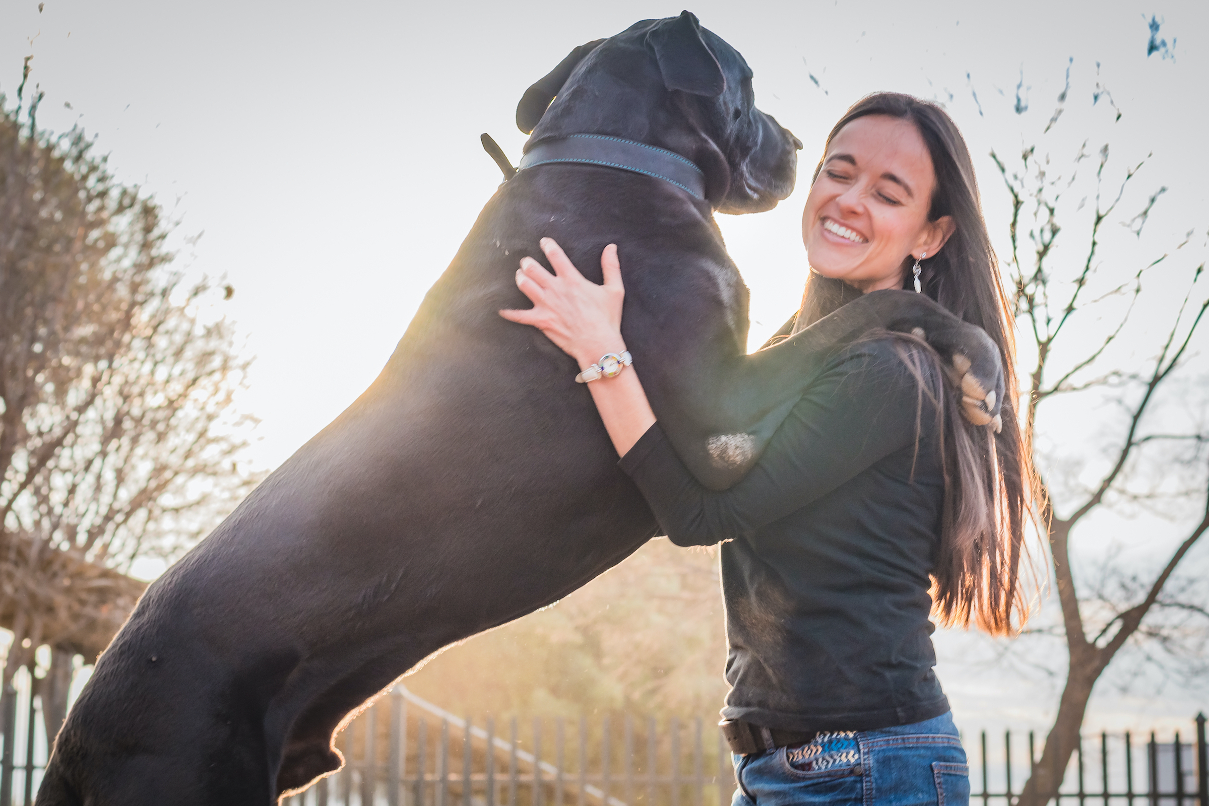A woman hugs her Great Dane who stands with front paws on her shoulders