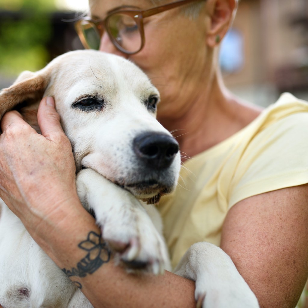 A woman hugs and kisses her senior dog