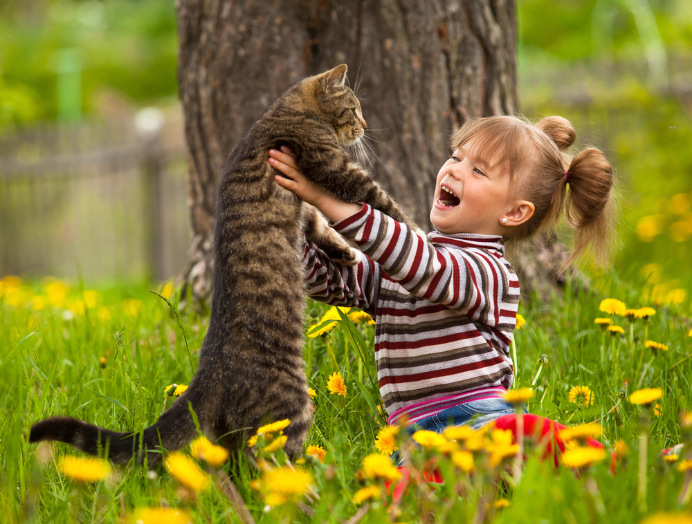 A young girl holds a tabby cat in a field of flowers.