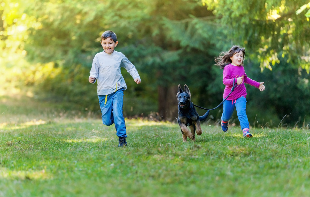 Boy and girl running in park with their German shepherd puppy.