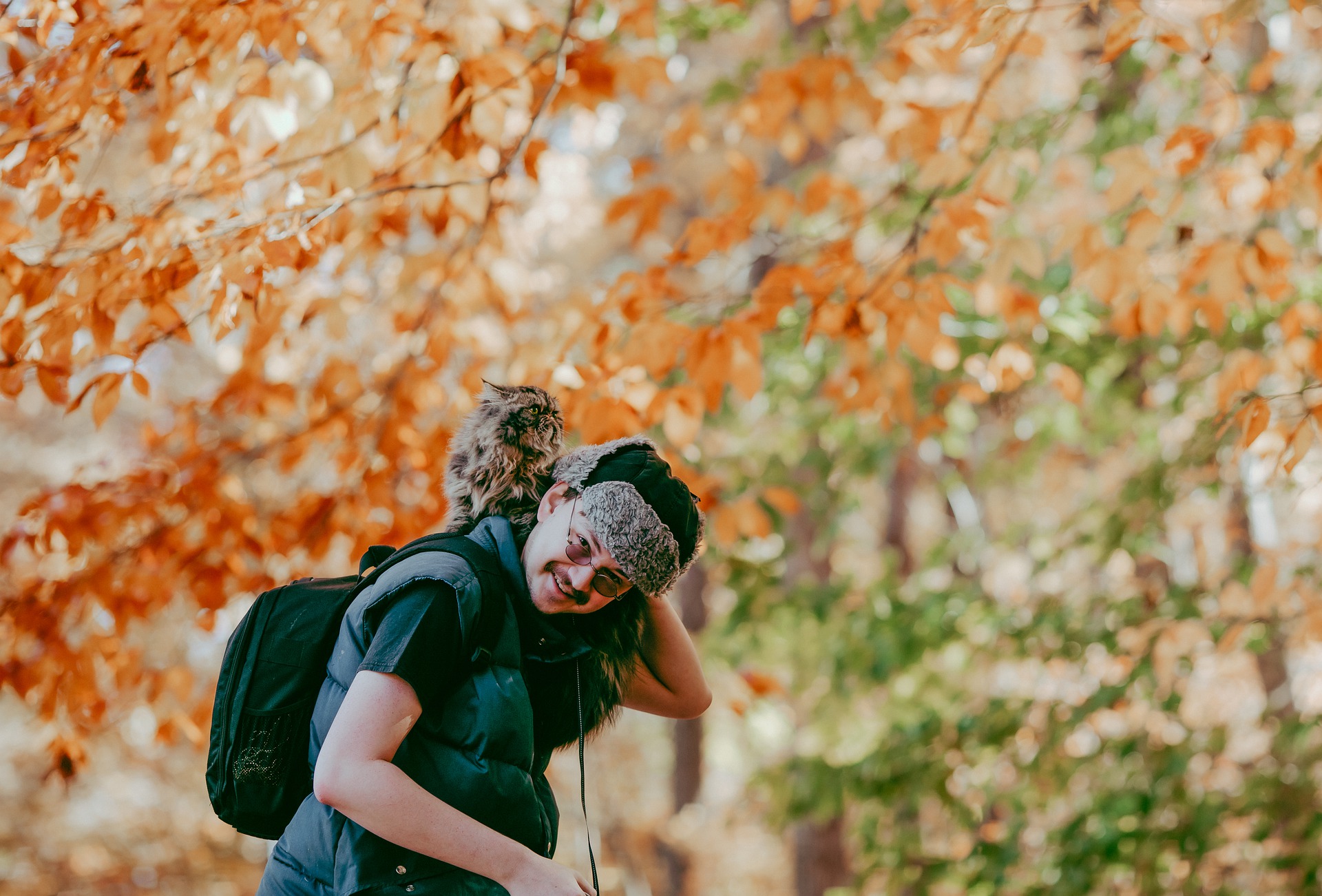Cat sitting on a hiker's shoulders outdoors