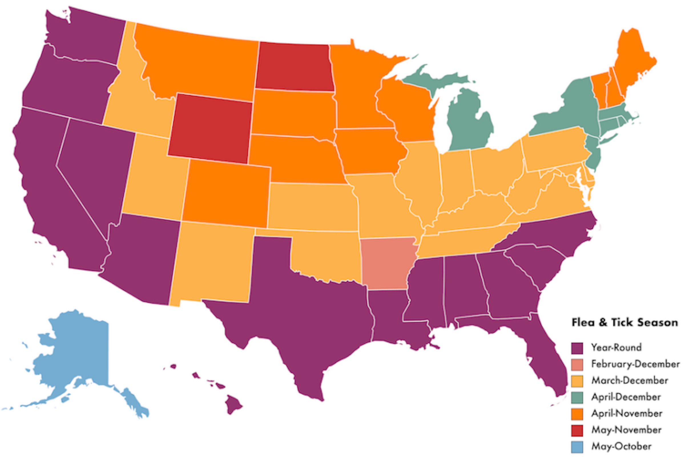 A map of flea and tick season in the United States