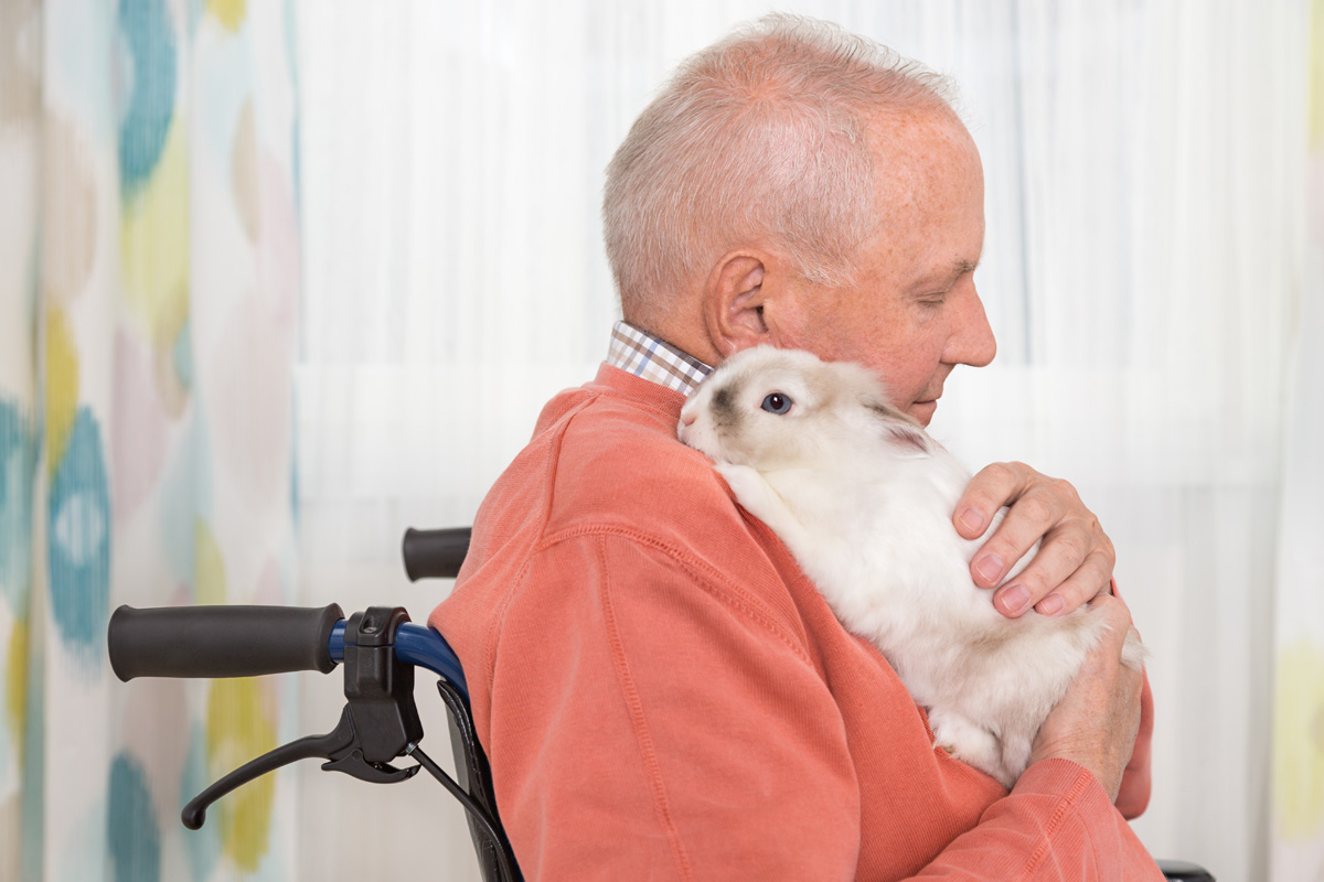 The 4 best pets for the elderly PawTracks