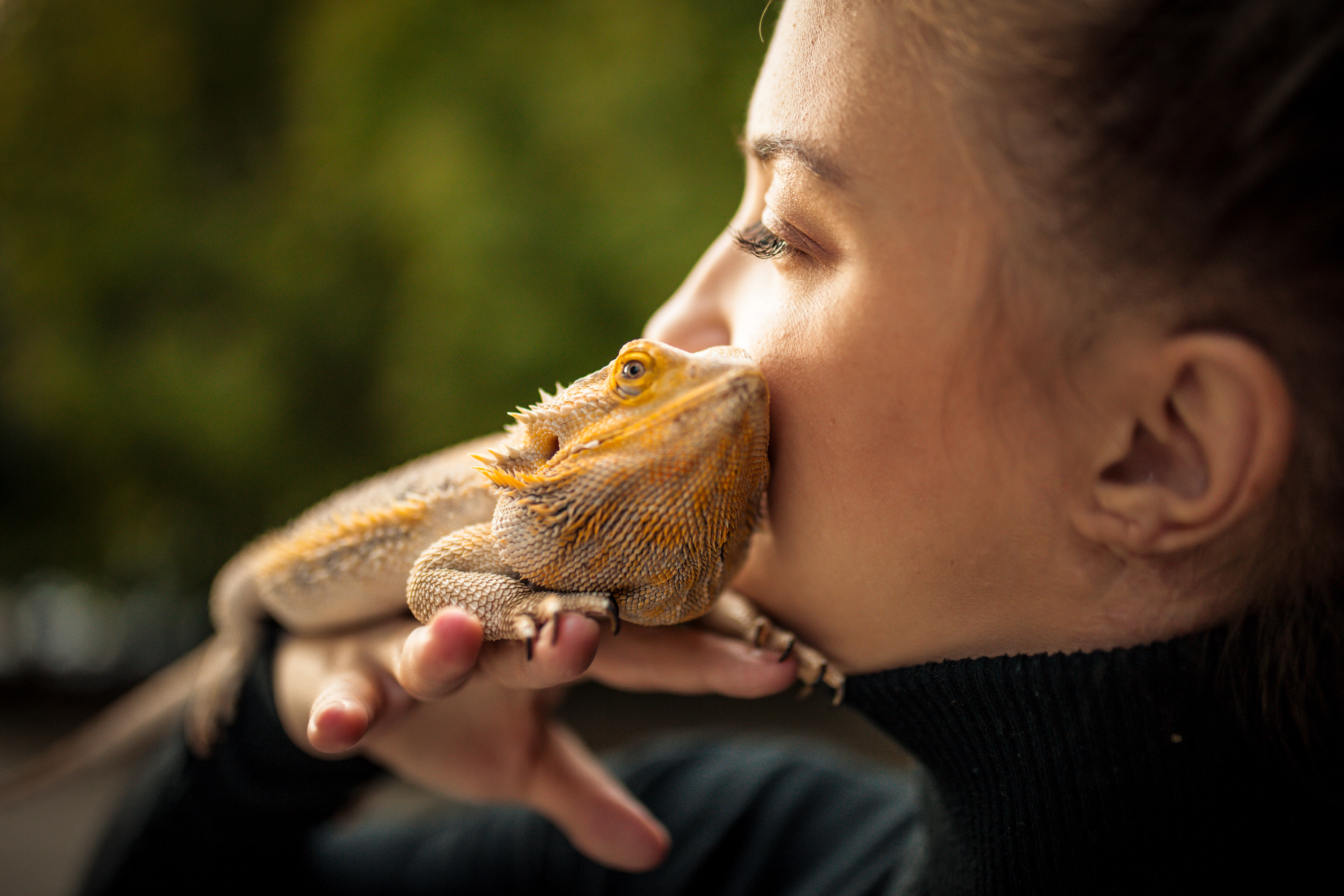 Woman holds her bearded dragon on her shoulder
