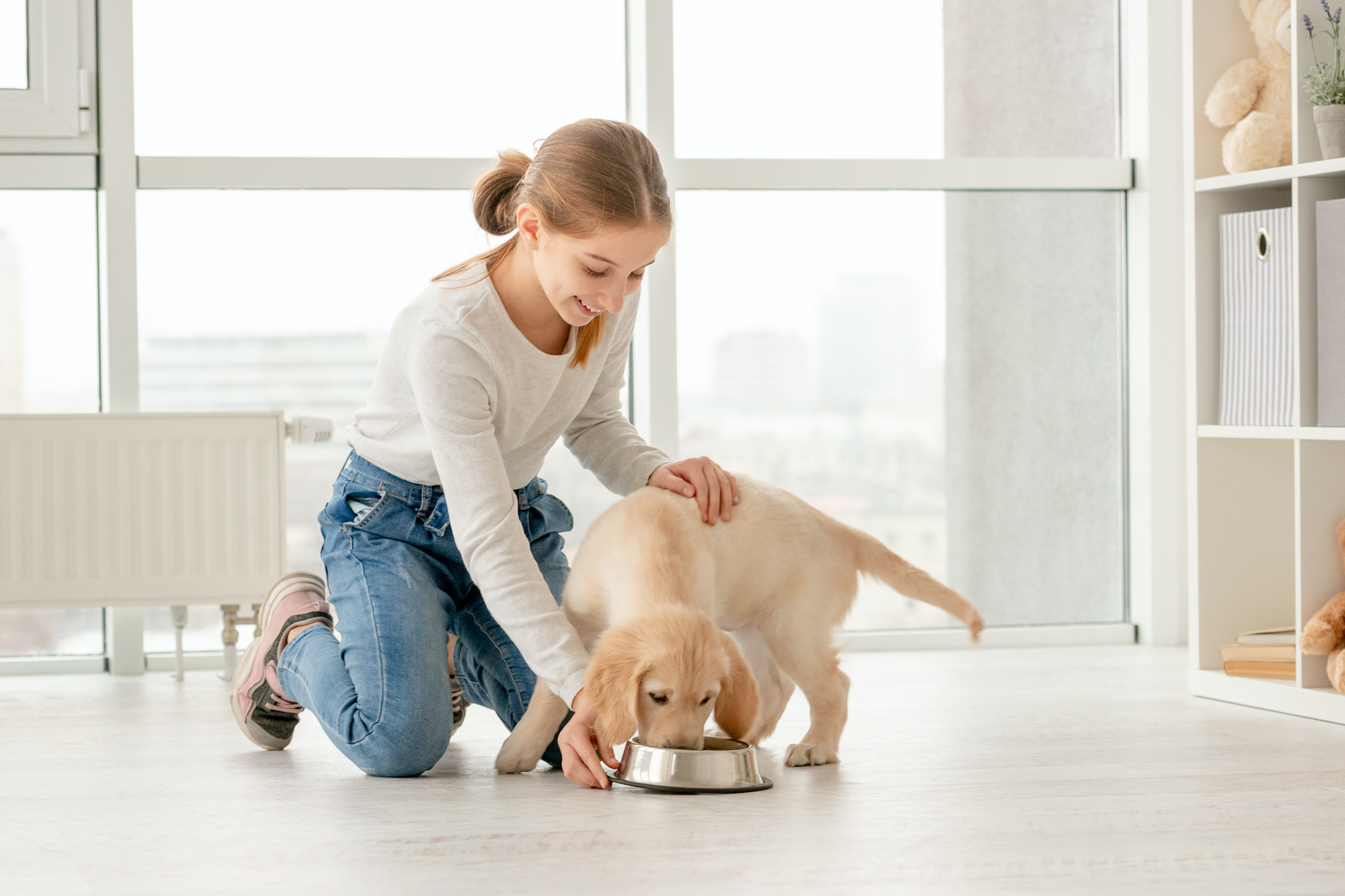 A young woman bends down to feed a Golden Retriever puppy