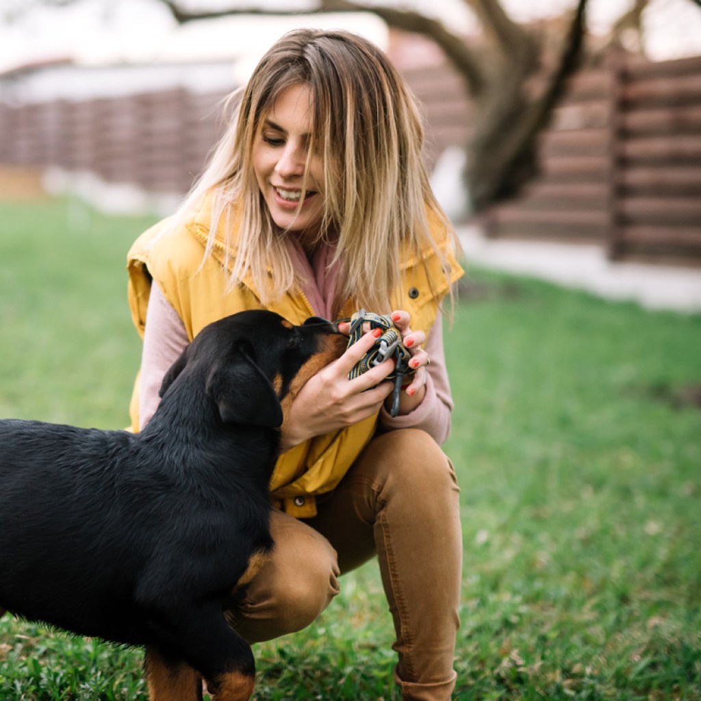 Woman playing with Rottweiler.