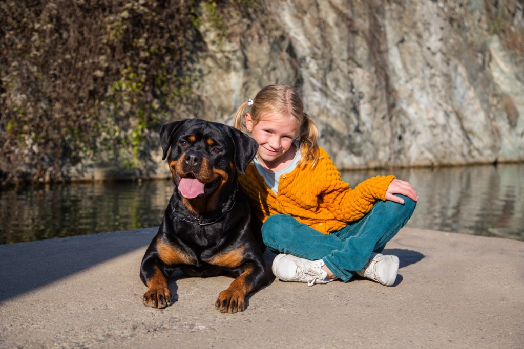 Young girl with her arm around a Rottweiler.