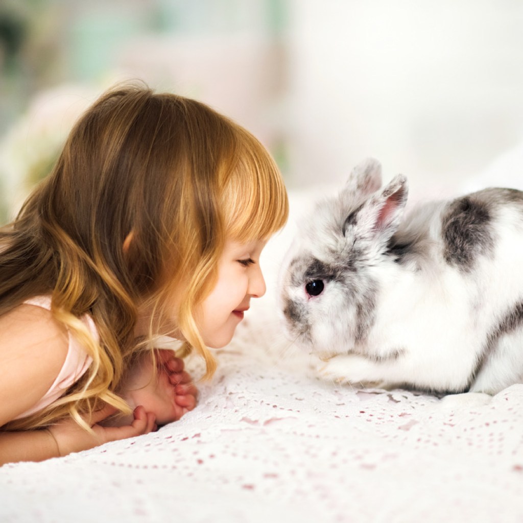 Young girl with pet rabbit.