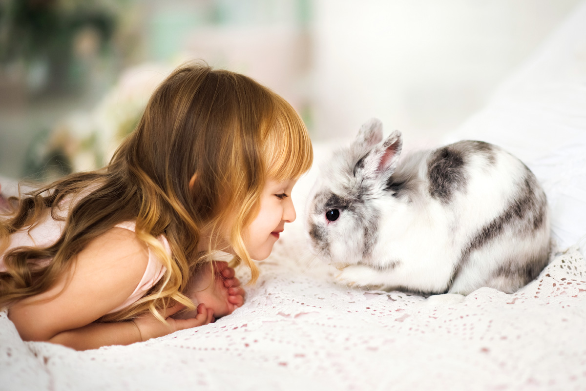 Young girl with pet rabbit.