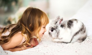 Young girl with pet rabbit.