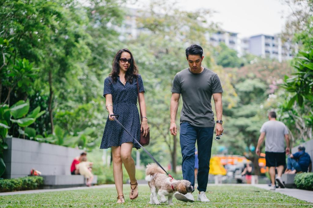A couple walks a small beige dog in the park.