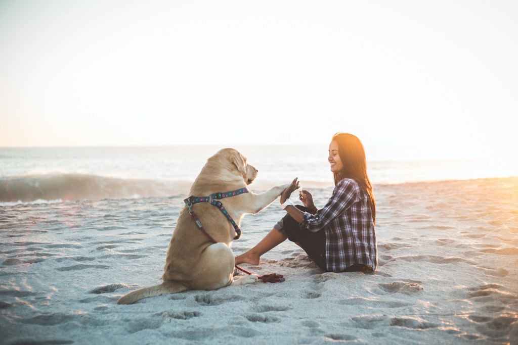 Mergina ir jos šuo sėdi paplūdimyje, o šuo siūlo jai penketuką