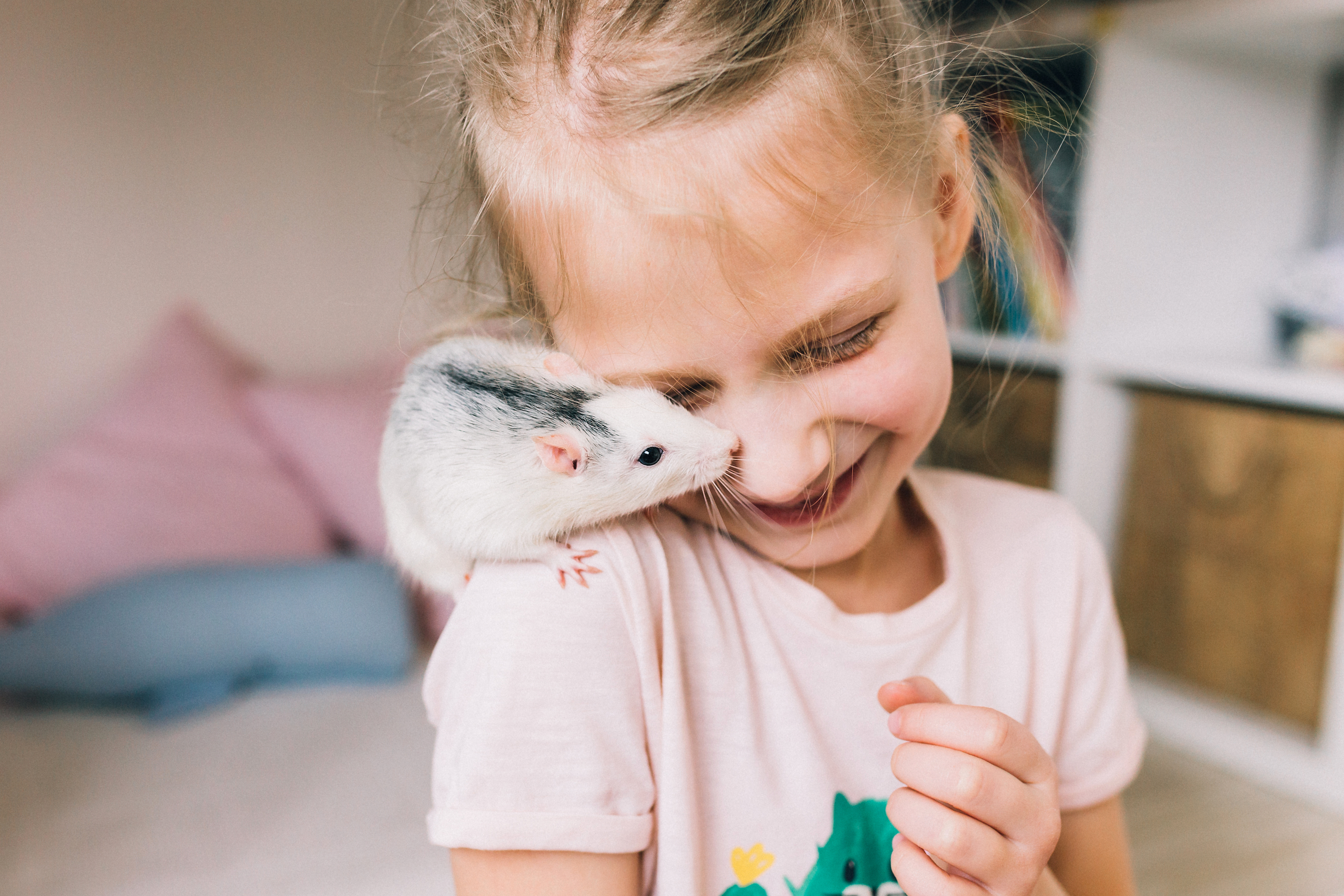 Pet rat sits on little girl's shoulder