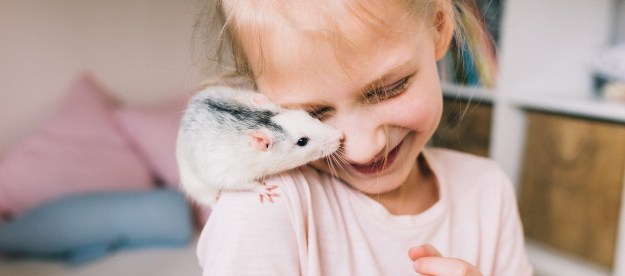 Pet rat sits on little girl's shoulder