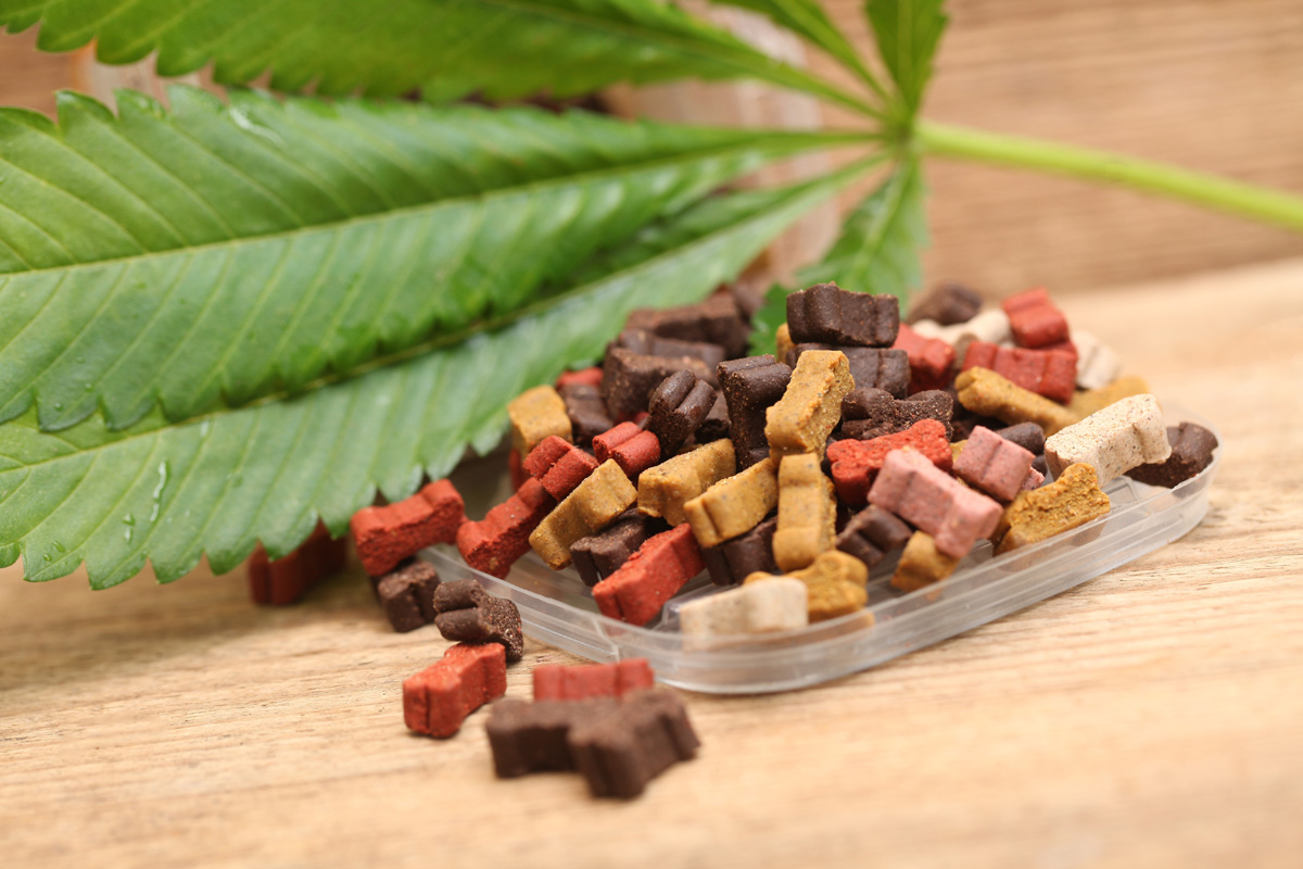 Hemp leaf laying beside dog treats.