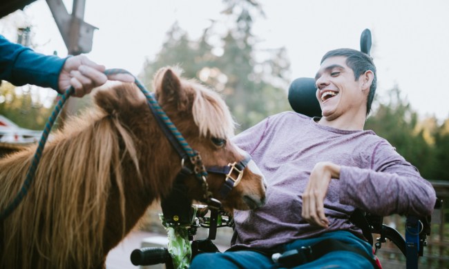 Man in a wheelchair laughing as he pets a horse.