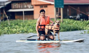Man enjoying paddleboarding with his dog.