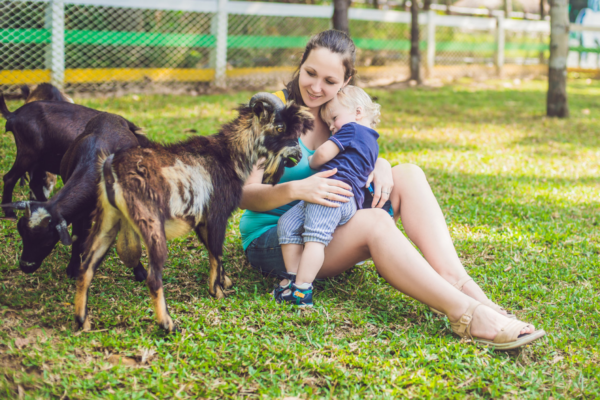 A mother and her baby visiting with goats on a farm.