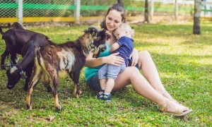 A mother and her baby visiting with goats on a farm.