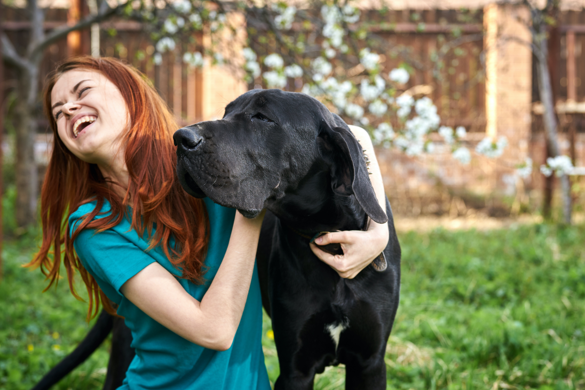 A red-haired woman hugs her Great Dane while sitting outdoors
