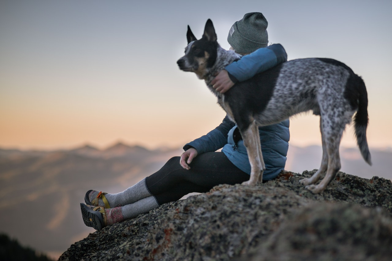 A woman holding a black and white Australian cattle dog while sitting on top of a mountain.