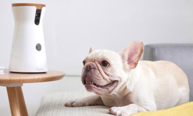 furbo dog camera deal prime day 2022