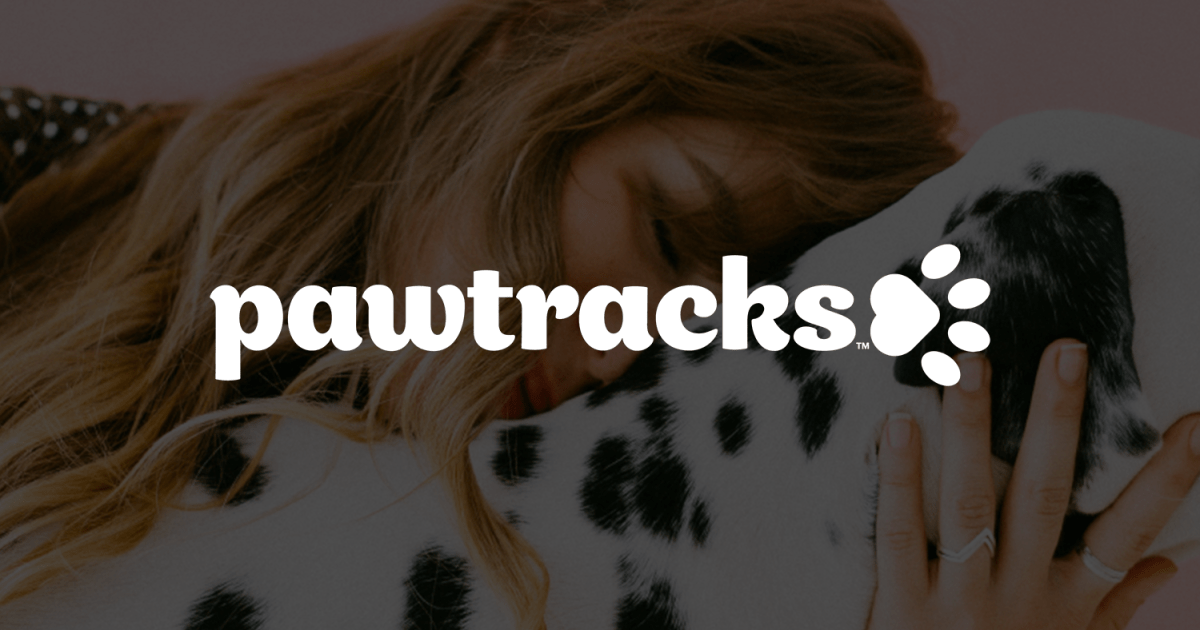 https://www.pawtracks.com/cats/page/10/