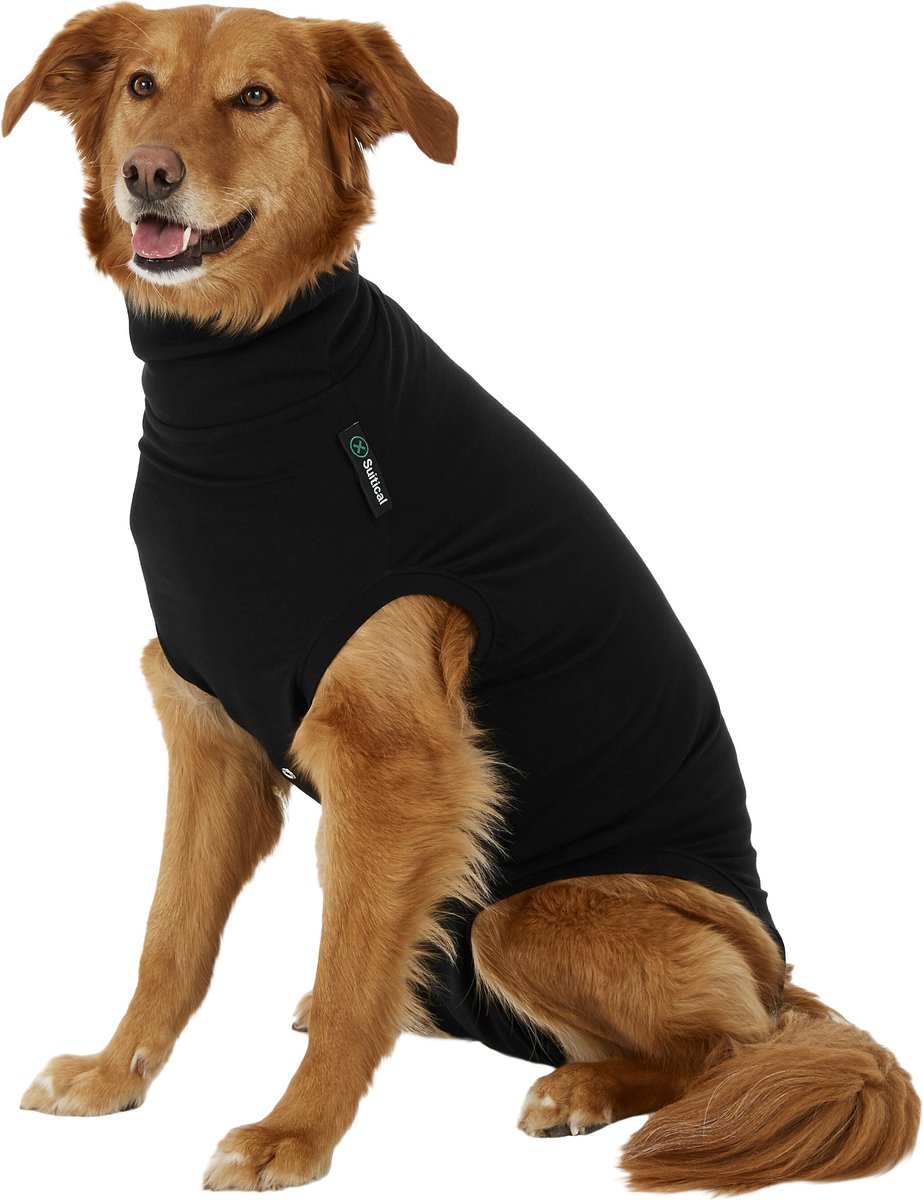 A tan dog wears a black recovery onesie against a solid white background.