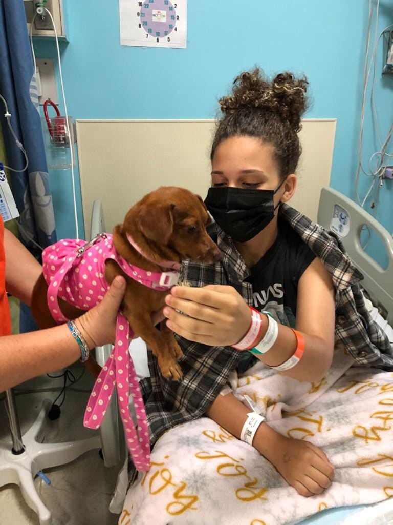 Therapy dog visits hospital patient. 