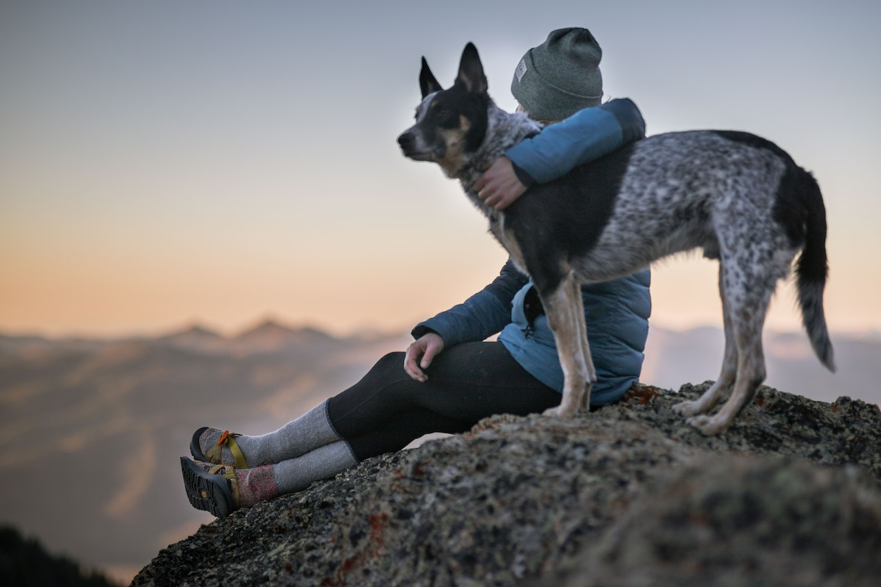 A woman sits on top of a mountain with her arm around an Australian cattle dog