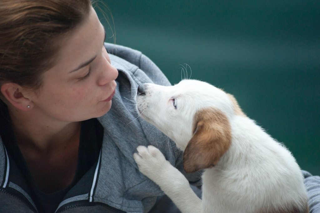 A dog mom kisses her white and brown puppy