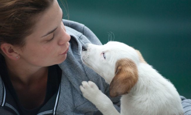 A dog mom kisses her white and brown puppy