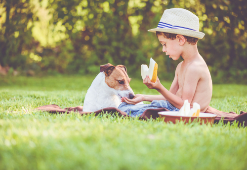 Boy feeding dog melon