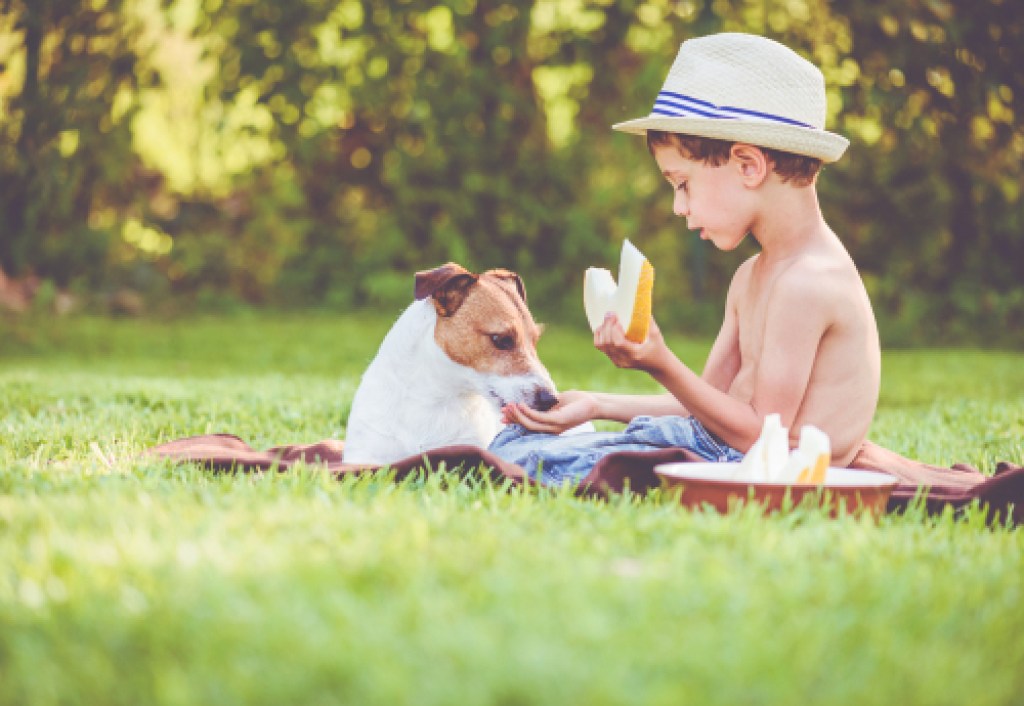 Boy feeding dog melon