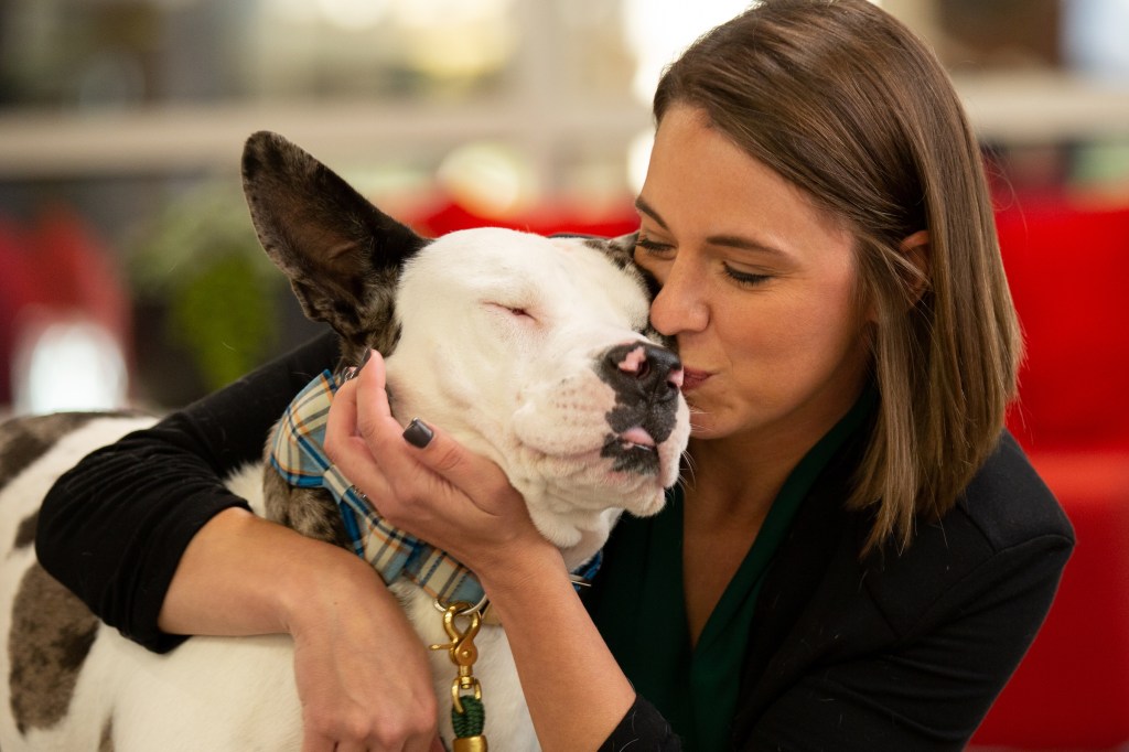 PetSmart Charities director Heidi Marston kisses her special needs Great Dane mix, Gatsby